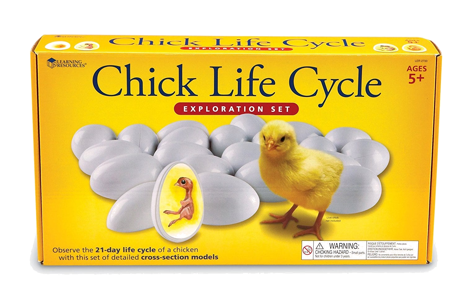 Chick Life Cycle - Learning Resources